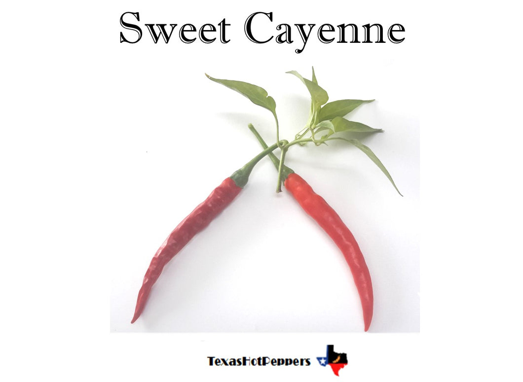 Sweet Cayenne