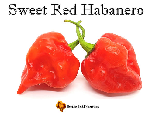 Sweet Red Habanero