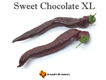 Load image into Gallery viewer, Sweet Chocolate XL