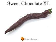 Load image into Gallery viewer, Sweet Chocolate XL