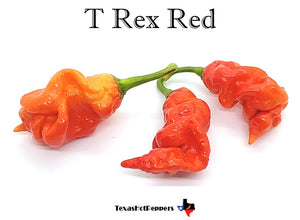 T Rex Red