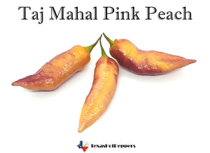 Taj Mahal Pink Peach