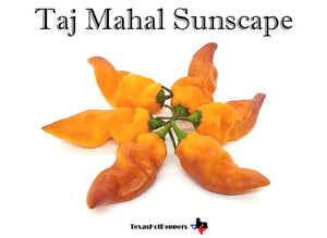 Taj Mahal Sunscape