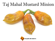 Load image into Gallery viewer, Taj Mahal Mustard Minion