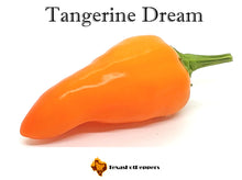 Load image into Gallery viewer, Tangerine Dream