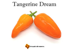 Load image into Gallery viewer, Tangerine Dream