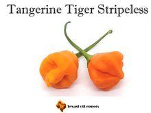 Load image into Gallery viewer, Tangerine Tiger