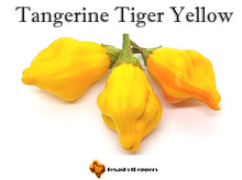 Load image into Gallery viewer, Tangerine Tiger Yellow