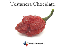 Load image into Gallery viewer, Testanera Chocolate