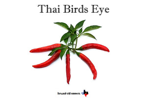 Thai Hot Pepper Seed Collection - 10 Different Varieties