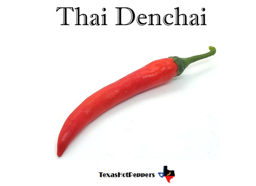 Thai Denchai