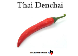 Thai Hot Pepper Seed Collection - 10 Different Varieties