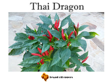 Load image into Gallery viewer, Thai Dragon