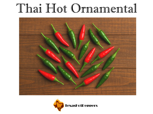 Thai Hot Ornamental