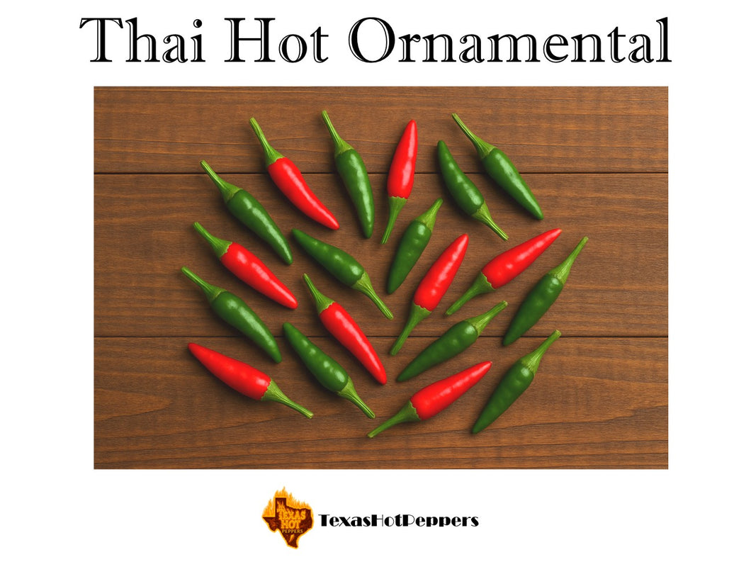Thai Hot Ornamental
