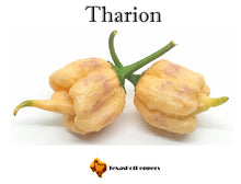 Load image into Gallery viewer, Tharion