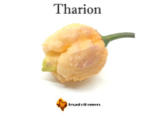 Load image into Gallery viewer, Tharion