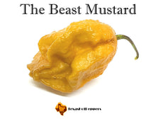 Load image into Gallery viewer, The Beast Mustard