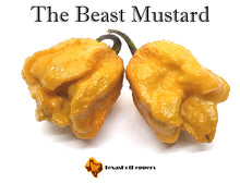 Load image into Gallery viewer, The Beast Mustard