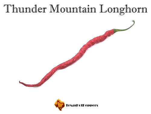 Thunder Mountain Longhorn