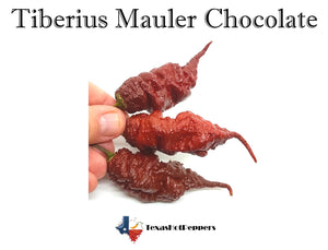 Tiberius Mauler Chocolate