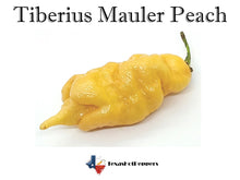 Load image into Gallery viewer, Tiberius Mauler Peach