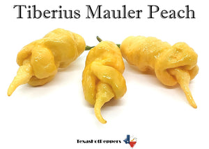 Tiberius Mauler Peach