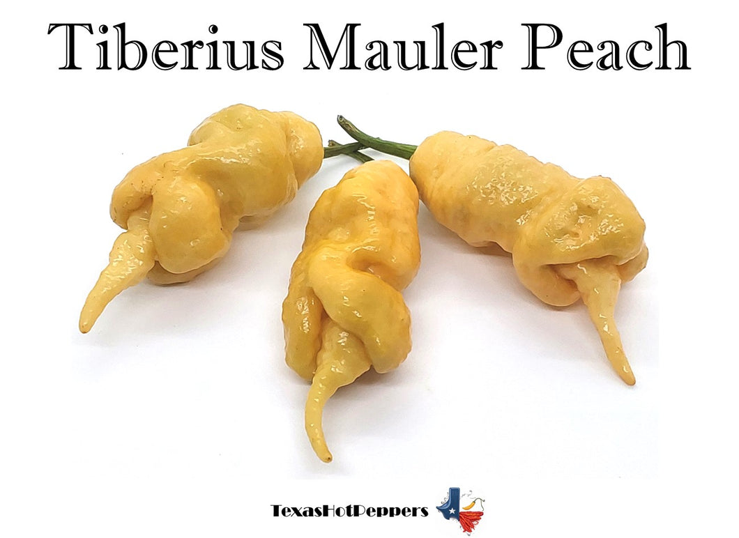 Tiberius Mauler Peach