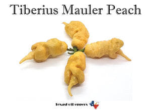 Tiberius Mauler Peach