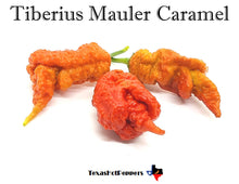 Load image into Gallery viewer, Tiberius Mauler Caramel