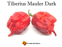 Load image into Gallery viewer, Tiberius Mauler Dark