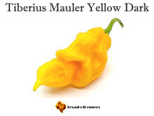 Load image into Gallery viewer, Tiberius Mauler Yellow Dark