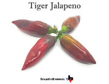 Load image into Gallery viewer, Tiger Jalapeno