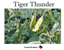 Load image into Gallery viewer, Tiger Thunder