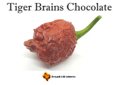 Load image into Gallery viewer, Tiger Brains Chocolate