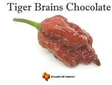 Load image into Gallery viewer, Tiger Brains Chocolate