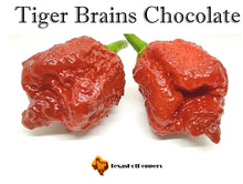 Load image into Gallery viewer, Tiger Brains Chocolate