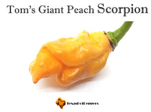 Load image into Gallery viewer, Tom&#39;s Giant Peach Scorpion