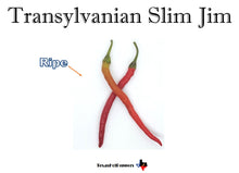 Load image into Gallery viewer, Transylvanian Slim Jim