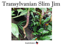 Load image into Gallery viewer, Transylvanian Slim Jim