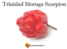 Load image into Gallery viewer, Trinidad Moruga Scorpion