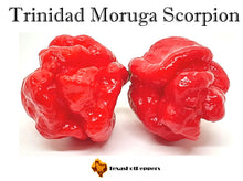Load image into Gallery viewer, Trinidad Moruga Scorpion