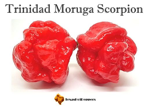 Trinidad Moruga Scorpion