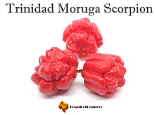 Load image into Gallery viewer, Trinidad Moruga Scorpion