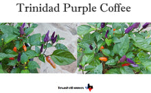 Load image into Gallery viewer, Trinidad Purple Coffee