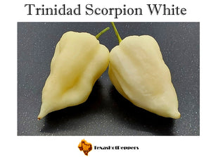 Trinidad Scorpion White