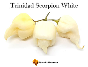 Trinidad Scorpion White