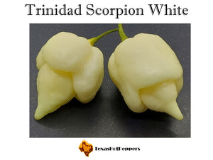 Trinidad Scorpion White