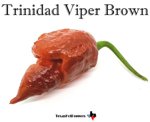 Trinidad Viper Brown