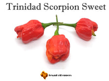 Load image into Gallery viewer, Low Heat Chinense Pepper Seed Collection - 10 Different Varieties